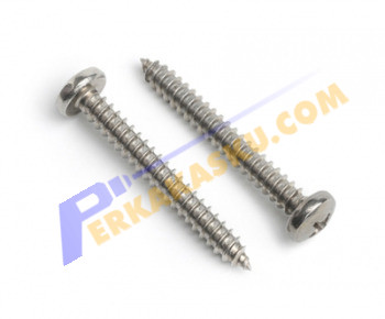 Lion Brand #6 x 1" Sekrup Tapping Pan