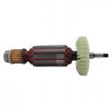 Armature / Rotor Lazaro