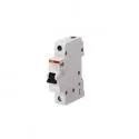 Circuit Breaker / MCB ABB