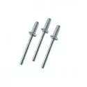 SIP 3.2mm x 11mm<br>Paku Rivet